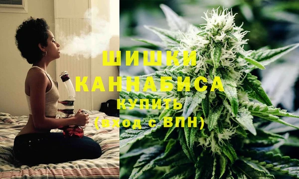 индика Алзамай