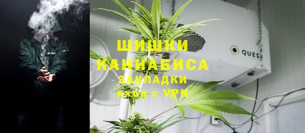 прущие грибы Алексин