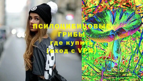 индика Алзамай