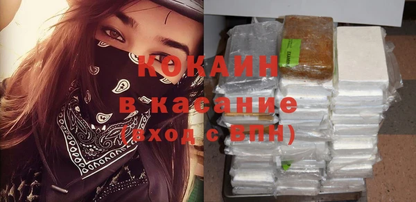 индика Алзамай