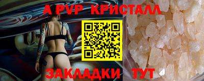 спиды Камышлов