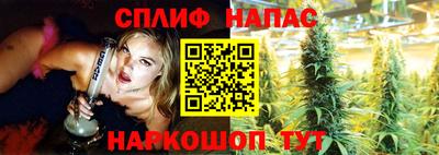 спиды Камышлов