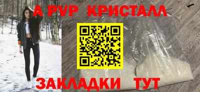 спиды Камышлов