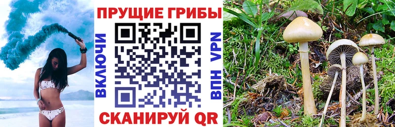 Галлюциногенные грибы ЛСД Кызыл