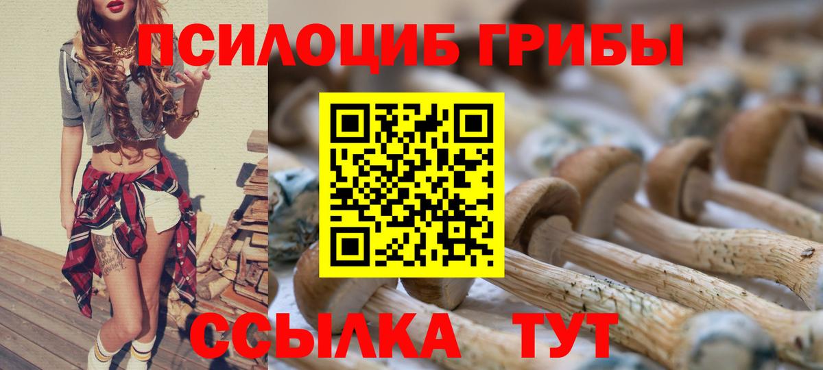 Галлюциногенные грибы Cubensis Кызыл
