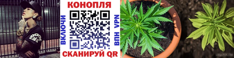 Конопля ГИДРОПОН  Кызыл 